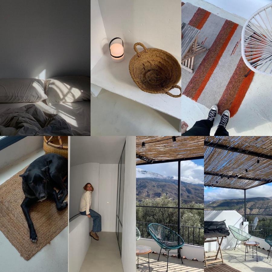 Casa Limon Bed & Breakfast Pinos del Valle Exterior photo